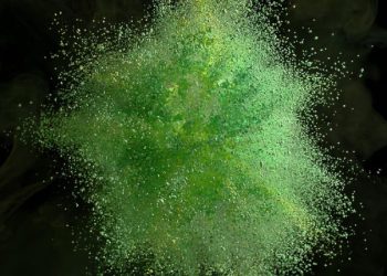 Solar-powered boats are silently sailing through Ecuador’s Amazon rainforest