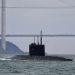 Russian submarine sunk in Crimean port, Ukraine claims