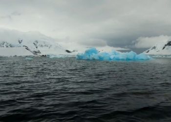 July ends 13-month streak of global heat records as El Nino ebbs, but experts warn against relief