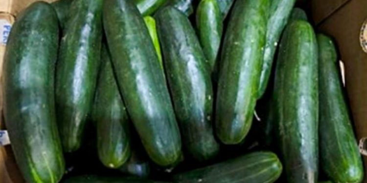 FDA declares cucumber-linked Salmonella outbreak over after 155 hospitalized