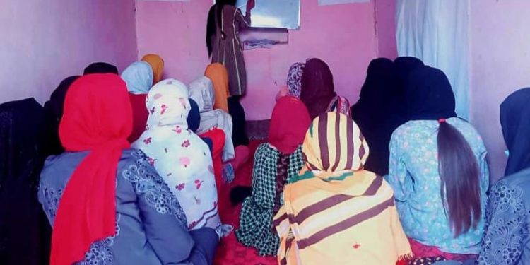 Shut out of school by the Taliban, Afghan girls and women are finding new ways to learn