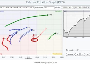 NVDA is Not the Only Semiconductor Stock Out There