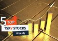 Top 5 Canadian Mining Stocks This Week: GFG Resources Pops With 73 Percent Gain