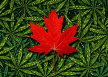 10 Biggest Cannabis Stocks in the US and Canada in 2024