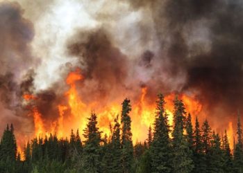 Mining Sector Faces Repeated Disruptions as Wildfires Burn Across Canada