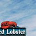 Red Lobster cleared to exit Chapter 11 bankruptcy