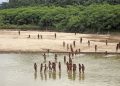 Remote Indigenous tribe kills two loggers encroaching on their land in Peru