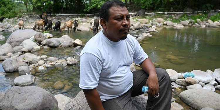 Honduran anti-mining activist who fought to save rivers is killed