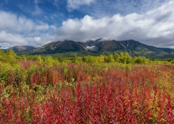 Russian helicopter with 22 on board goes missing near Far East volcano