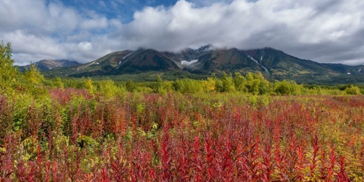 Russian helicopter with 22 on board goes missing near Far East volcano