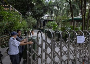 Monkeys killed by soil infection at Hong Kong zoo, officials say