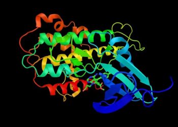 How to Invest in AlphaFold Stock