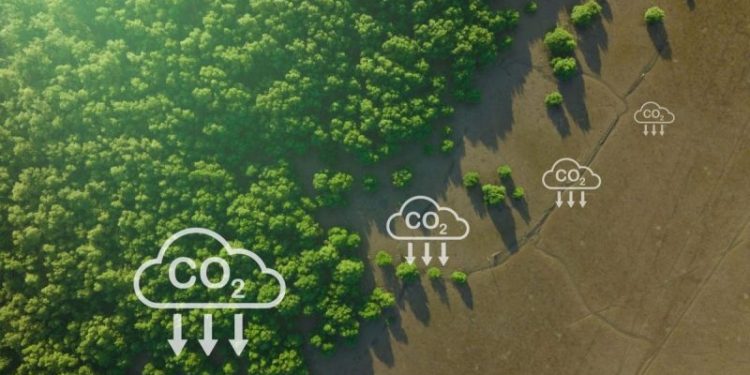 IEF Applauds UK’s £21.7 Billion Carbon Capture Investment