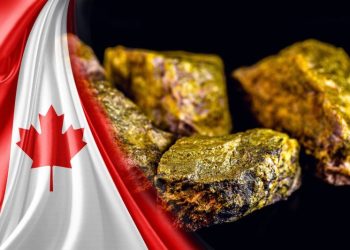 5 Best-performing Canadian Uranium Stocks of 2024