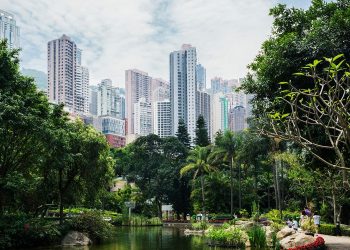 Eight monkeys found dead at Hong Kong zoo, government says