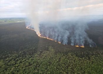 Firefighters battle huge blaze tearing through New Zealand wetland home to threatened species