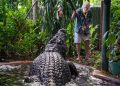 World’s largest captive crocodile dies in Australia aged more than 100