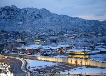 Delight and disruption as record November snowfall hits Seoul