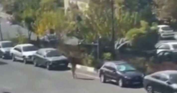 Iranian woman detained after taking clothes off at university in Tehran