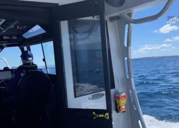 Seaman rescued after more than 20 hours at sea off Australia’s east coast