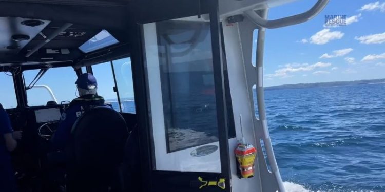 Seaman rescued after more than 20 hours at sea off Australia’s east coast