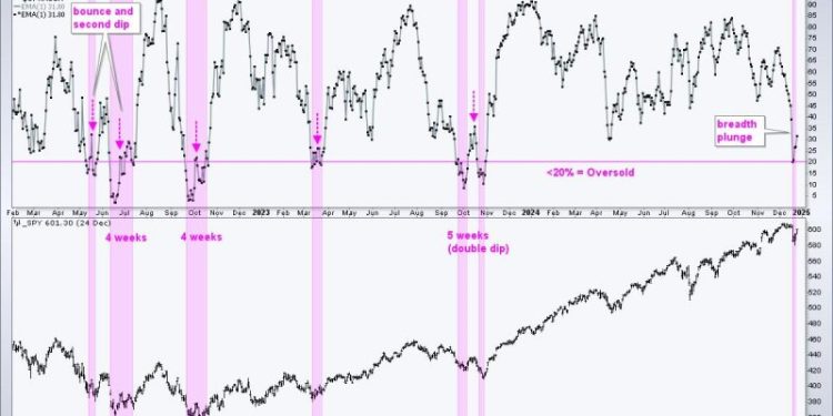 Is this Bounce a Robust Rebound or a Dead-Cat Bounce?
