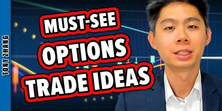 Options Trade Ideas YOU NEED to SEE!