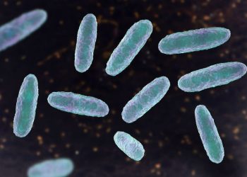 Deaths of 13 children in Mexico may be linked to IV bag contamination, authorities say