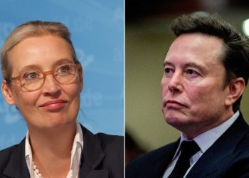 Musk urges Germans to vote for AfD in latest involvement in European politics