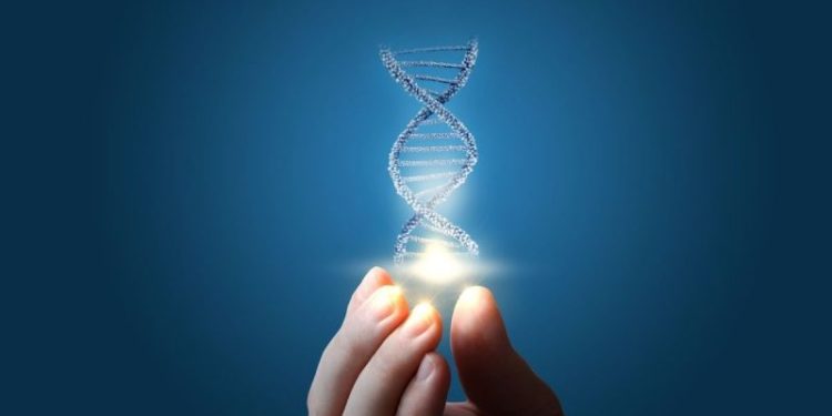 Top 5 NASDAQ Genetics Stocks (Updated January 2025)