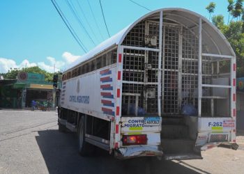 Dominican Republic deported more than 276,000 Haitians in 2024