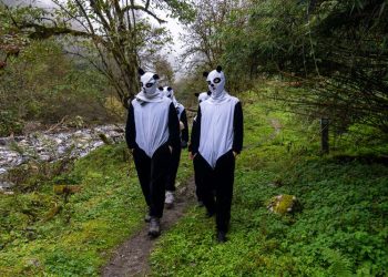 China is more in love with its pandas than ever. That’s complicated matters for Beijing