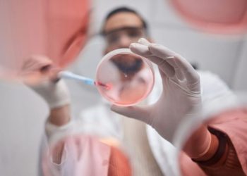 Pharma Market Forecast: Top Trends for Pharma in 2025