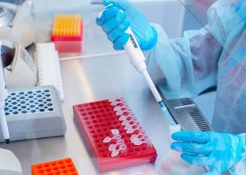 Bristol Myers Squibb’s Rising SCTR Score: Seize the Moment to Invest?