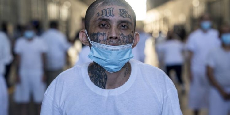 The US now considers these cartels and gangs terrorist groups. Here’s what to know about them