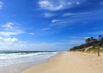 Teenage girl killed in shark attack while swimming at Australia tourist spot