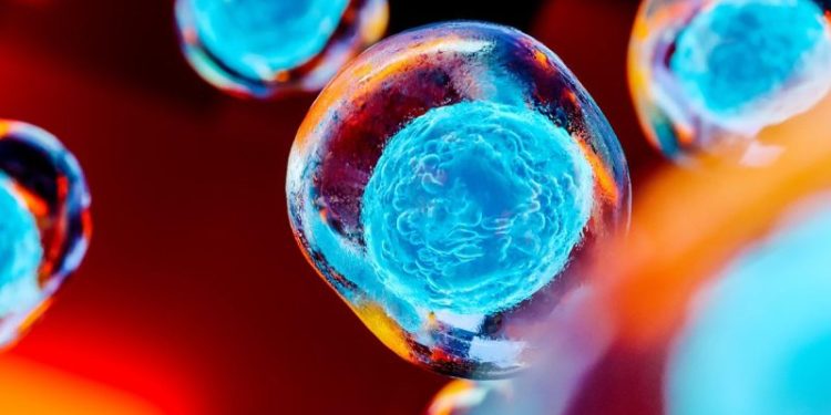 Stem Cell Stocks: 10 Biggest NASDAQ Companies in 2025