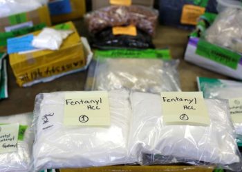 India among top suppliers of illicit fentanyl precursors, US intelligence report says