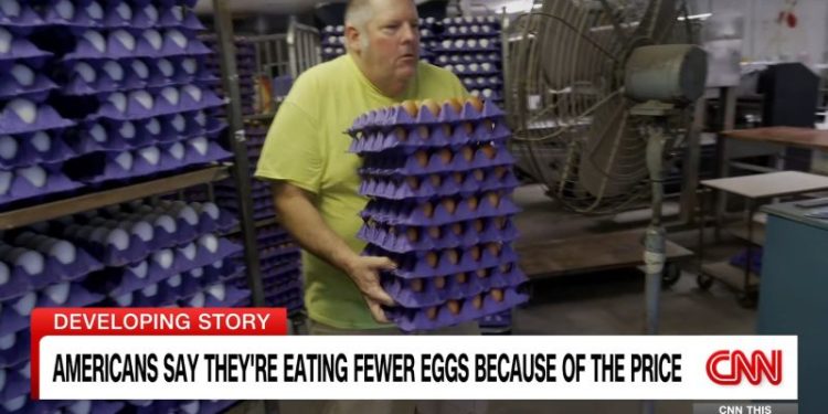 As egg prices soar, US Customs and Border Protection cracks down on egg smuggling