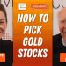 Don Hansen: Gold Price to Rise, Stock Market to Fall; 4 Stocks I Own