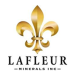 LaFleur Minerals: Advancing a District-scale Gold Asset and Near-Producing Mill in the Abitibi Gold Belt