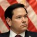 Rubio to skip Ukraine talks as Zelensky rejects key detail of US proposal