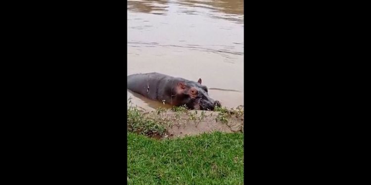Death toll from a boat capsizing in Congo earlier this week rises to 148, officials say