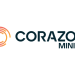 Gold Project Acquisition, Placement and MD appointment