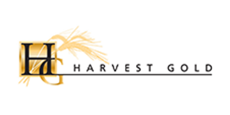 Harvest Gold Discovers Significant Gold-Silver-Copper Halos In The Northern Part Of The Mosseau Property